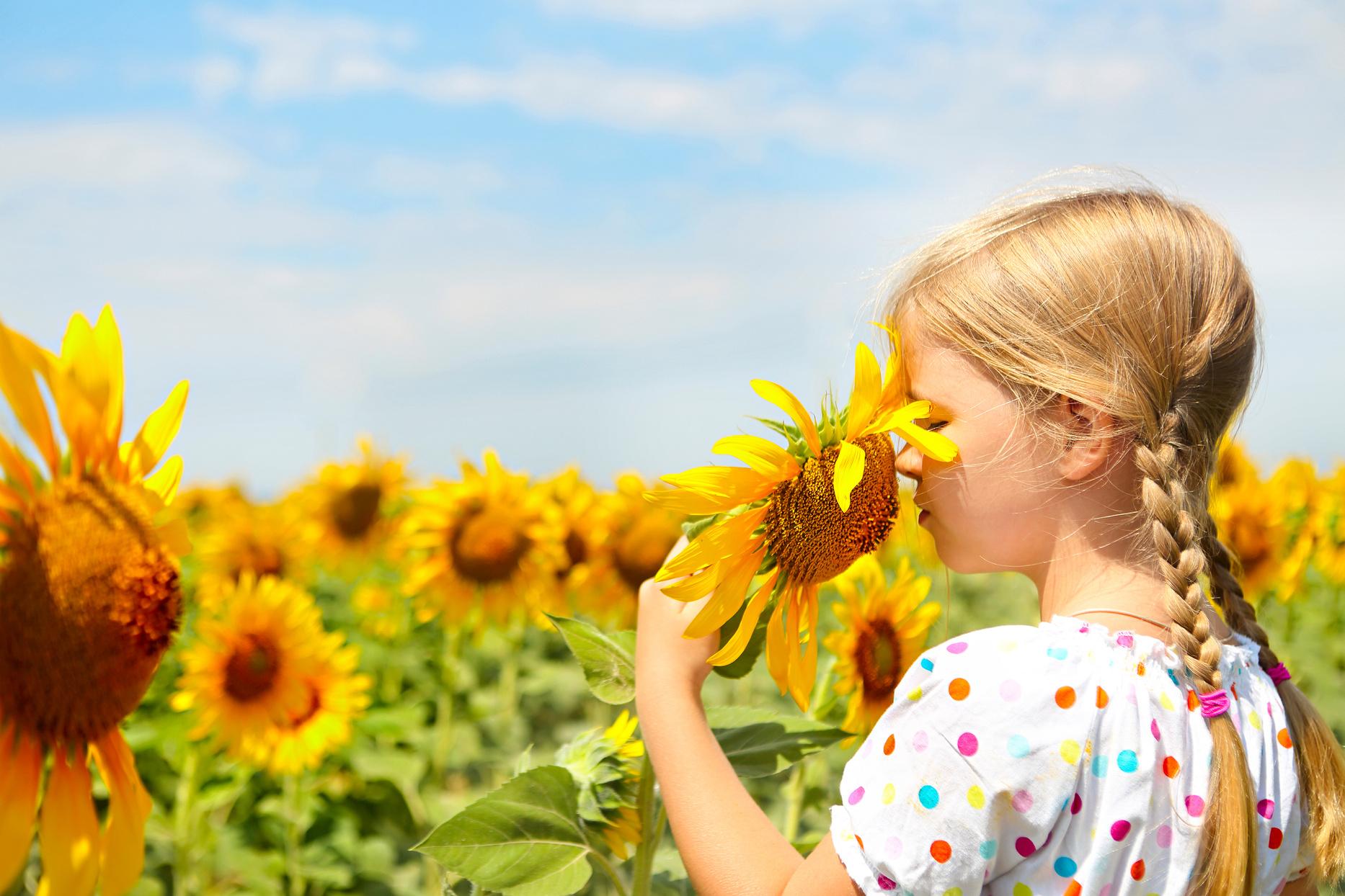Child Playing in Sunflower Field